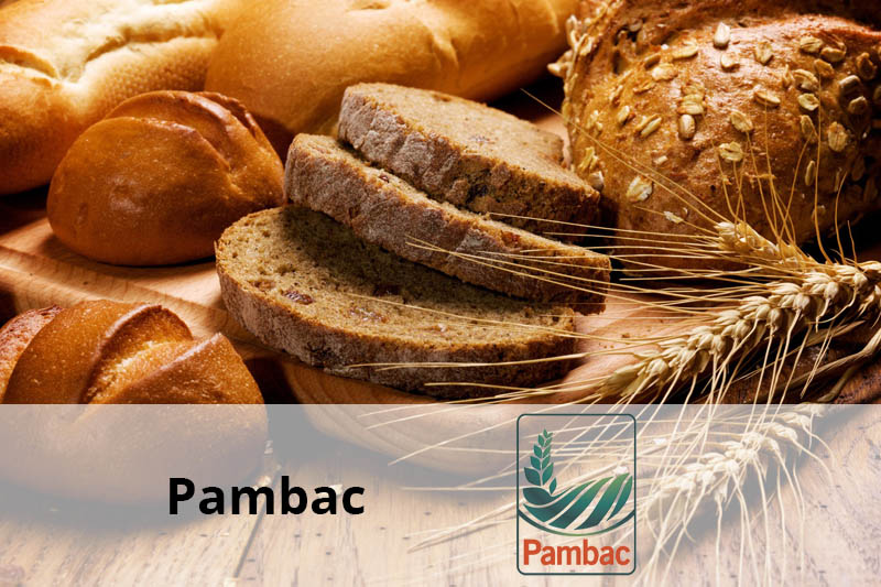 pambac client senior software
