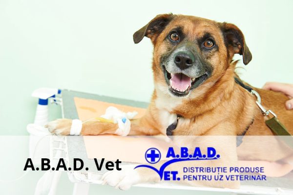 abad vet preview v1