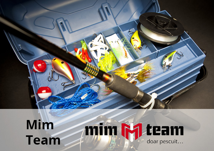 mim team preview pagina