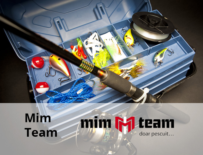 mim team preview v1