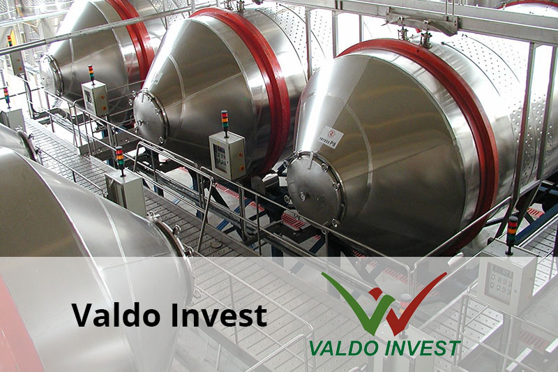 valdo invest imagine reprezentativa