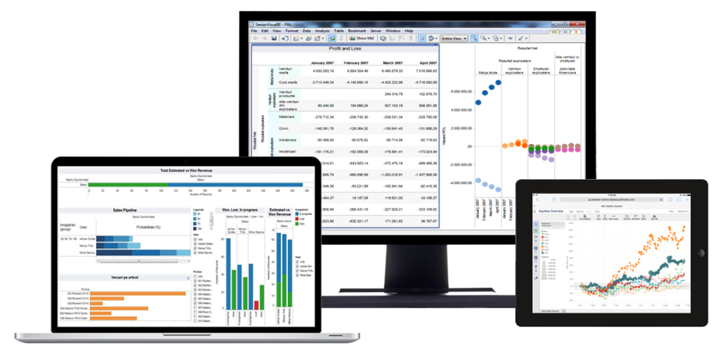 Software Business Intelligence