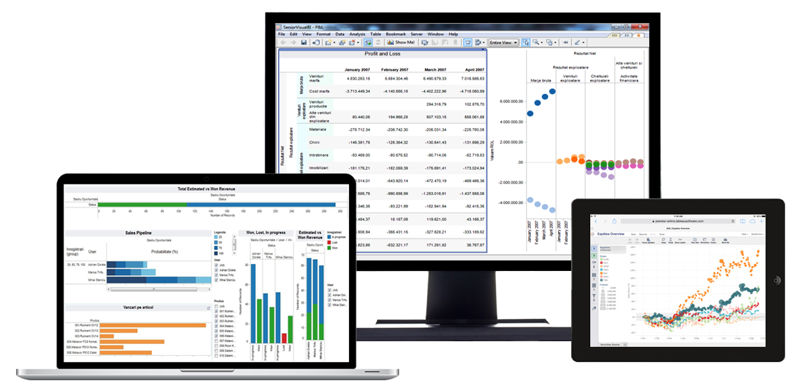 Software Business Intelligence