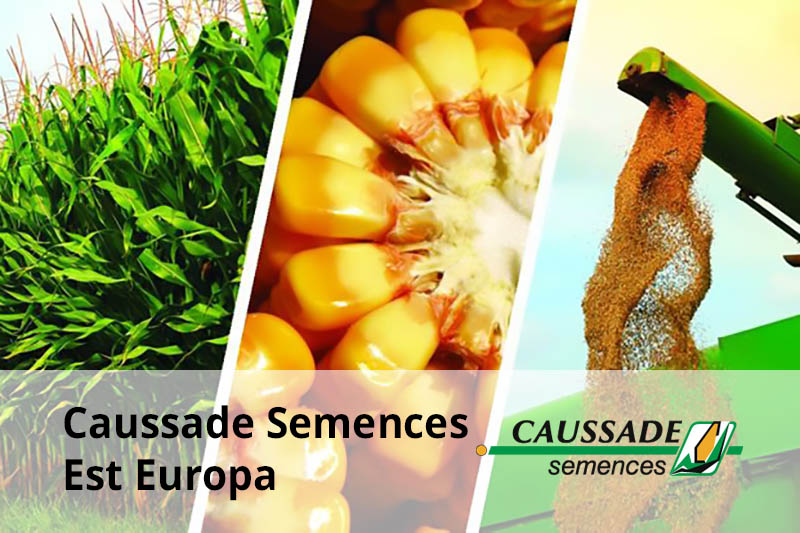 caussade tot v22