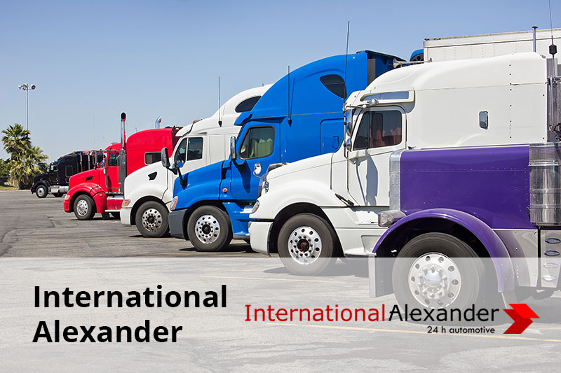 international alexander imagine reprezentativa