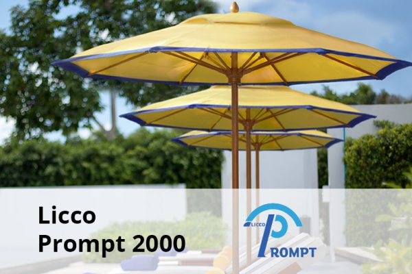 Licco Prompt 2000 senior software