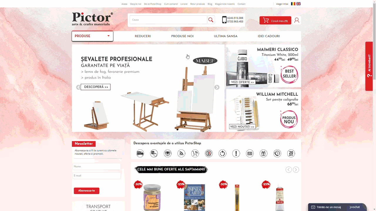 pictor shop e-commerce platforma magazin online