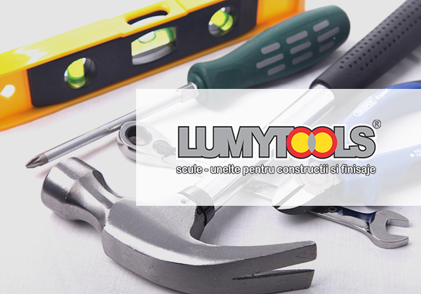 2020 imagini clienti erp distributie - lumytools