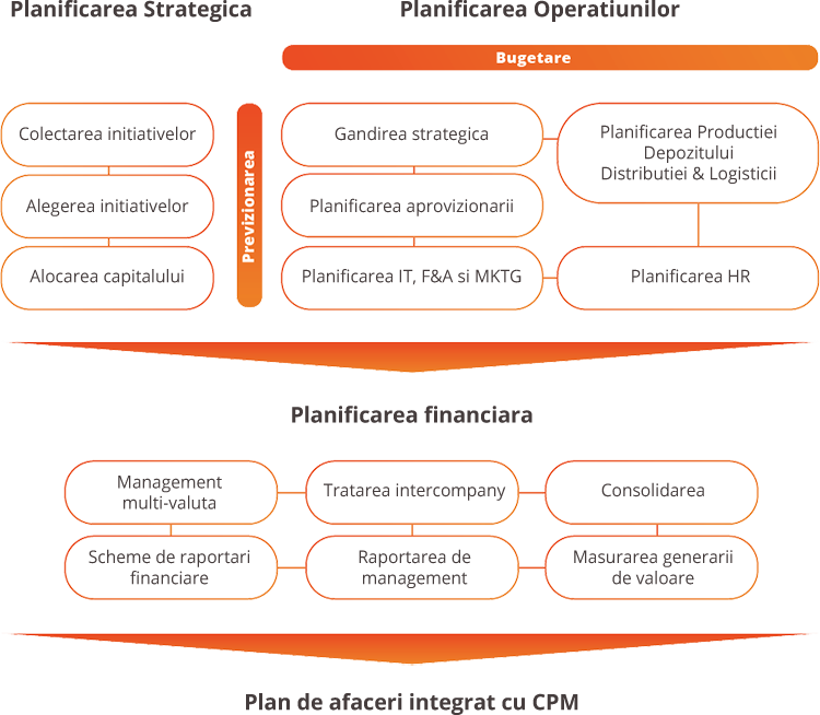 planificarea afacerii – EPM enterprise performance management