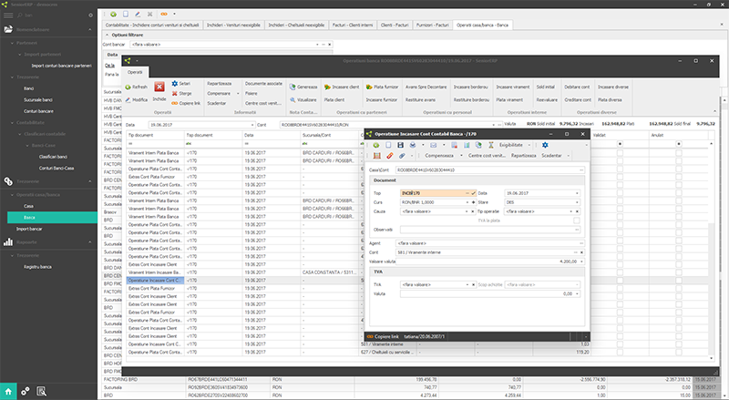 program software ERP – financiar contabil