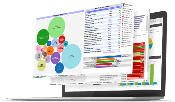 Exemplu de BI business intelligence software in Romania