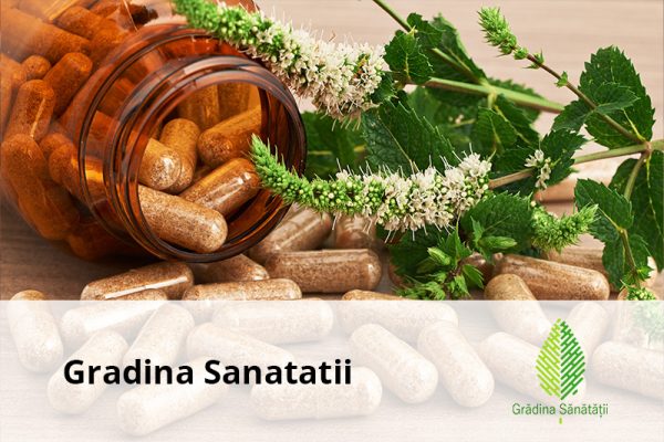 gradina sanatatii-1