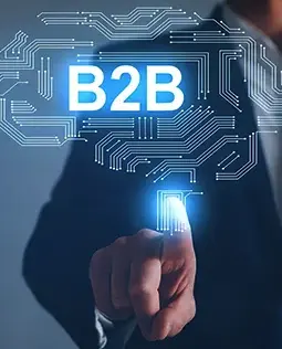 platforma b2b integrata cu erp pentru ecommerce comert electronic