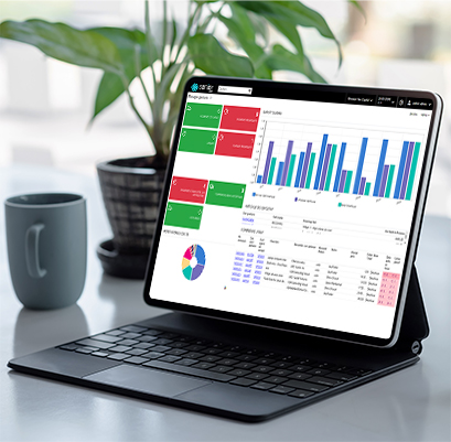 Cum functioneaza sistemele software ERP on premises