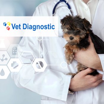 Distribuitorul Vet Diagnostic a crescut profitabilitatea afacerii cu solutiile Senior Software preview