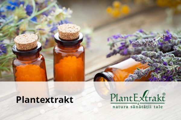 plantextrakt 1