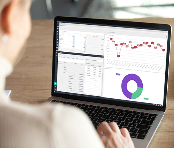 control si vizibilitate in timp real asupra stocurilor si acces la rapoarte consolidate cu erp si business intelligence