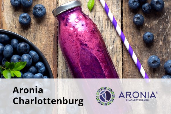 Aronia Charlottenburg client senior software