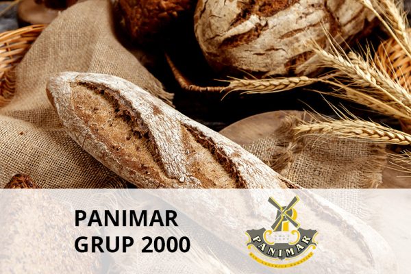 PANIMAR GRUP 2000 client senior software