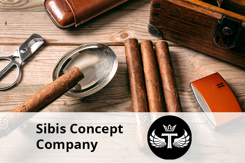 Sibis Concept Company client senior software