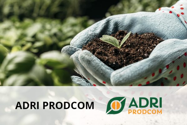 adri prodcom client senior software