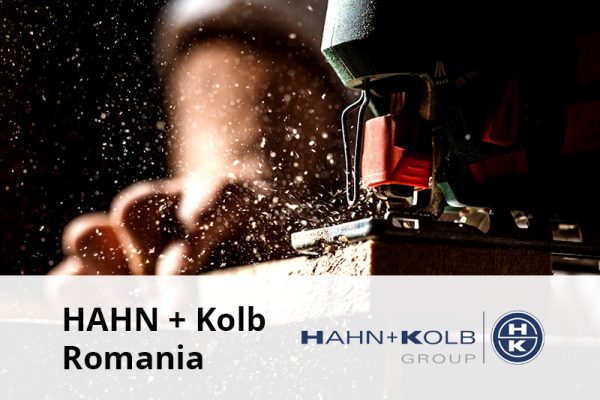 HAHN Kolb Romania client senior software