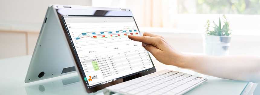 getionarea e-tva cu sistem software erp pentru managementul resurselor