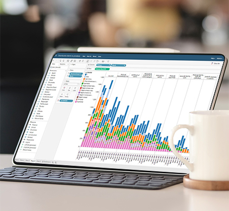 tempini implementare solutii software integrate de la senior software din romania