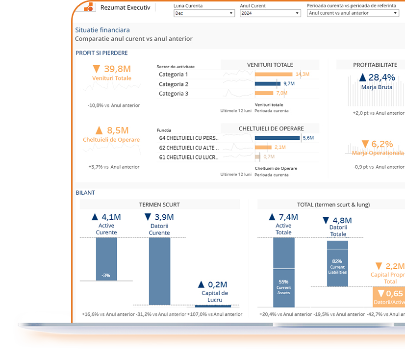 control financiar sisteme software avansate de analiza