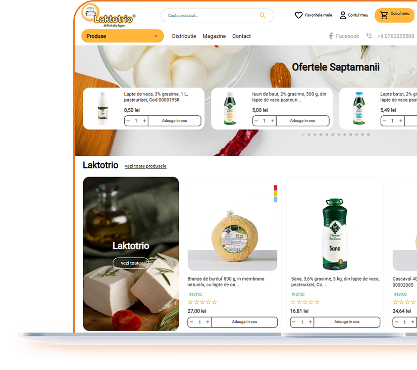 site ecommerce magazin online senior software laktotrio